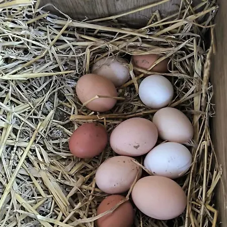 Vakantiehuis Chaloupka V Raji Vesela (Semily)