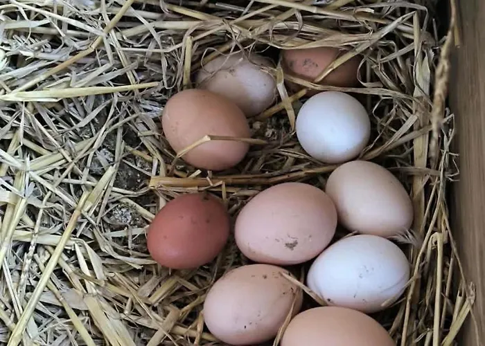 Vakantiehuis Chaloupka V Raji Vesela (Semily)